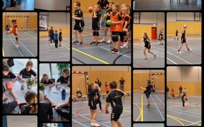 🤾‍♂️📚 Spelregels leren was nog nooit zo leuk!